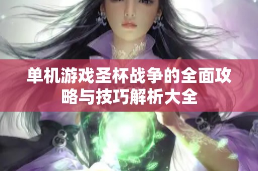 单机游戏圣杯战争的全面攻略与技巧解析大全
