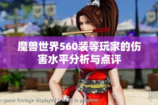 魔兽世界560装等玩家的伤害水平分析与点评