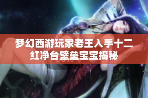 梦幻西游玩家老王入手十二红净台壁垒宝宝揭秘