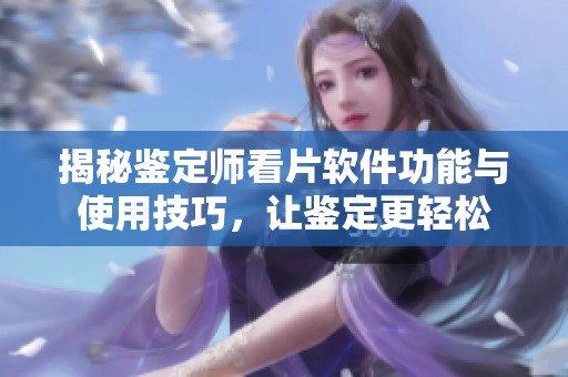 揭秘鉴定师看片软件功能与使用技巧，让鉴定更轻松