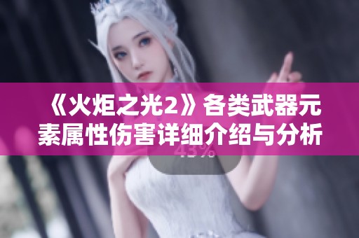 《火炬之光2》各类武器元素属性伤害详细介绍与分析