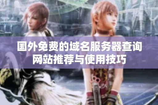 国外免费的域名服务器查询网站推荐与使用技巧