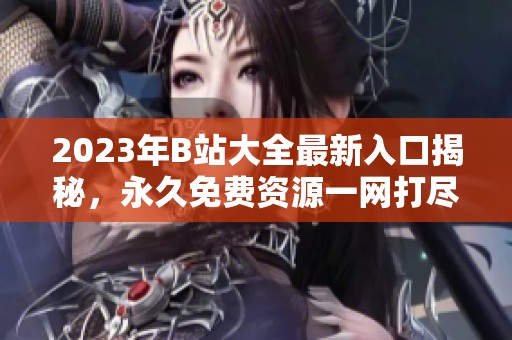 2023年B站大全最新入口揭秘，永久免费资源一网打尽