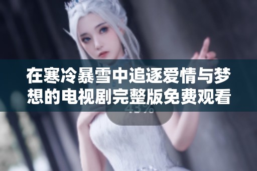 在寒冷暴雪中追逐爱情与梦想的电视剧完整版免费观看