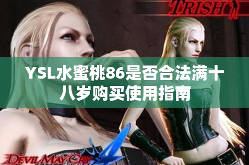 YSL水蜜桃86是否合法满十八岁购买使用指南
