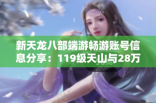 新天龙八部端游畅游账号信息分享：119级天山与28万战力解析