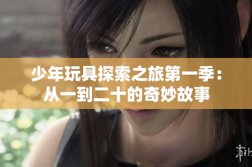 少年玩具探索之旅第一季：从一到二十的奇妙故事