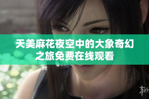 天美麻花夜空中的大象奇幻之旅免费在线观看