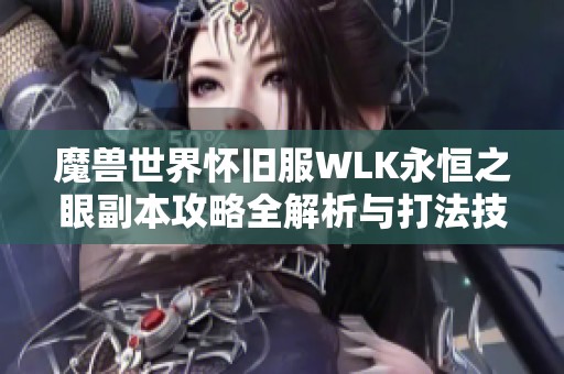 魔兽世界怀旧服WLK永恒之眼副本攻略全解析与打法技巧分享