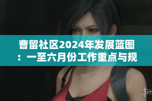 曹留社区2024年发展蓝图：一至六月份工作重点与规划