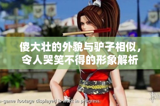傻大壮的外貌与驴子相似，令人哭笑不得的形象解析