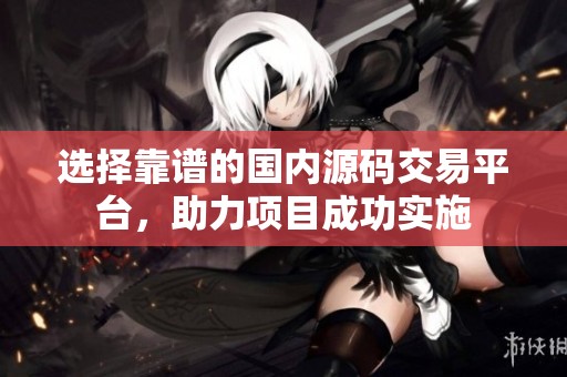 选择靠谱的国内源码交易平台，助力项目成功实施