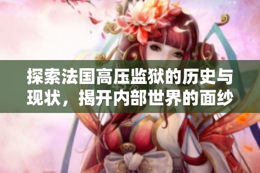 探索法国高压监狱的历史与现状，揭开内部世界的面纱