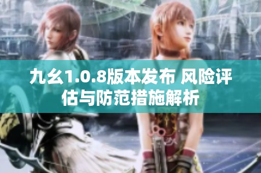 九幺1.0.8版本发布 风险评估与防范措施解析