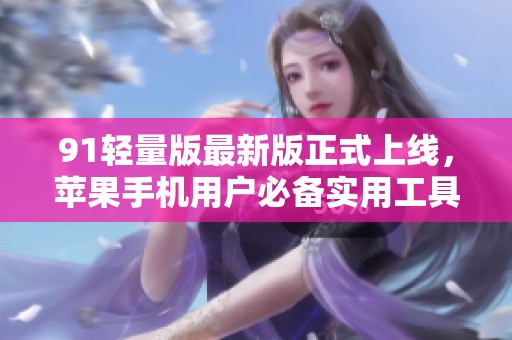 91轻量版最新版正式上线，苹果手机用户必备实用工具