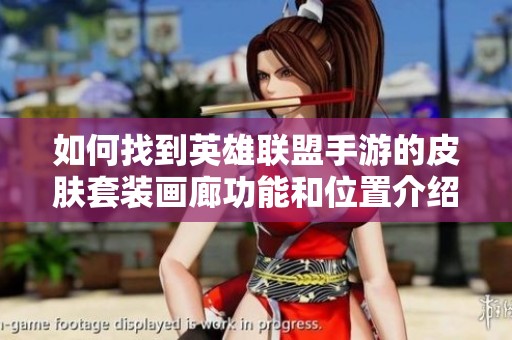 如何找到英雄联盟手游的皮肤套装画廊功能和位置介绍