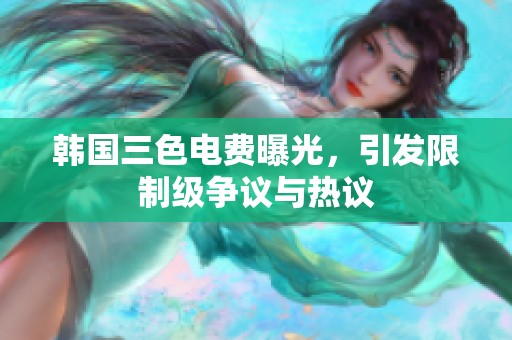 韩国三色电费曝光，引发限制级争议与热议