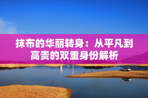 抹布的华丽转身：从平凡到高贵的双重身份解析