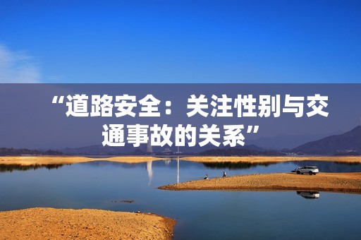 “道路安全：关注性别与交通事故的关系”