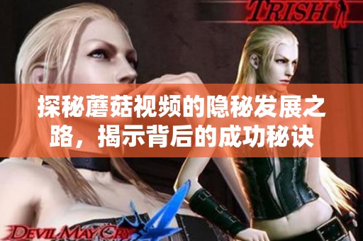 探秘蘑菇视频的隐秘发展之路，揭示背后的成功秘诀