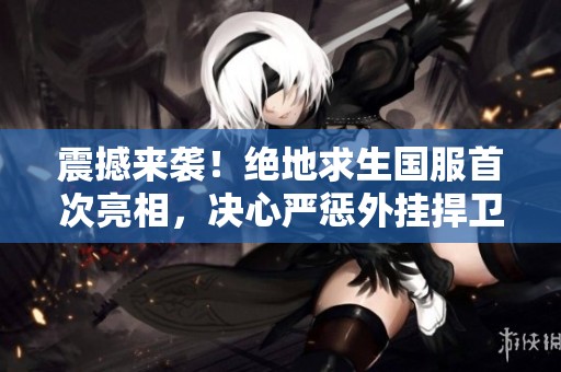震撼来袭！绝地求生国服首次亮相，决心严惩外挂捍卫绿色游戏环境！