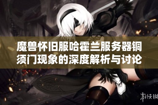 魔兽怀旧服哈霍兰服务器铜须门现象的深度解析与讨论