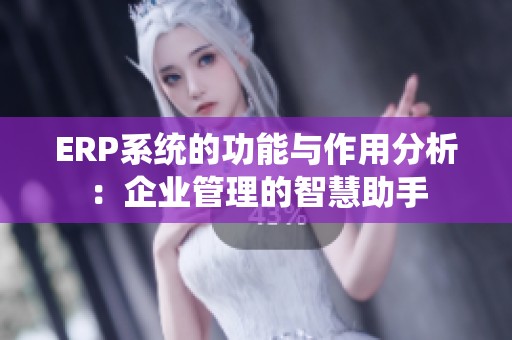 ERP系统的功能与作用分析：企业管理的智慧助手