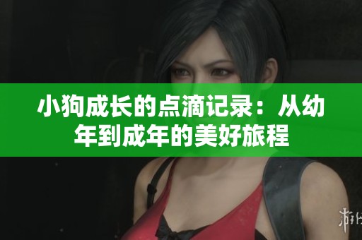 小狗成长的点滴记录：从幼年到成年的美好旅程