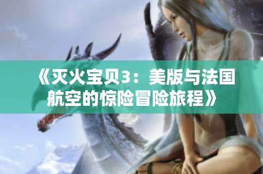 《灭火宝贝3：美版与法国航空的惊险冒险旅程》