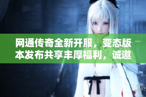 网通传奇全新开服，变态版本发布共享丰厚福利，诚邀体验！