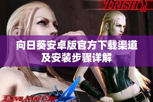向日葵安卓版官方下载渠道及安装步骤详解