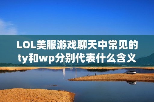 LOL美服游戏聊天中常见的ty和wp分别代表什么含义？