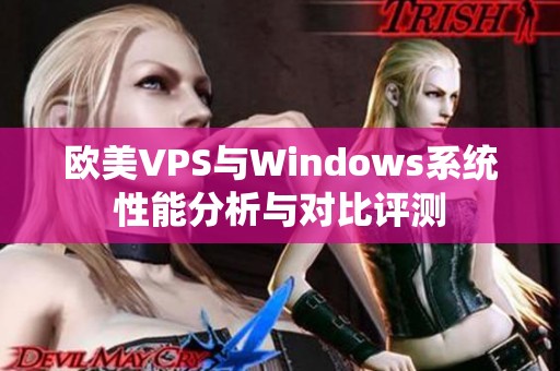 欧美VPS与Windows系统性能分析与对比评测