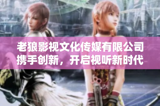老狼影视文化传媒有限公司携手创新，开启视听新时代
