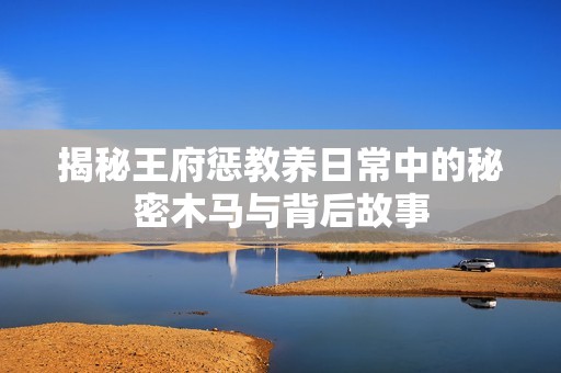 揭秘王府惩教养日常中的秘密木马与背后故事
