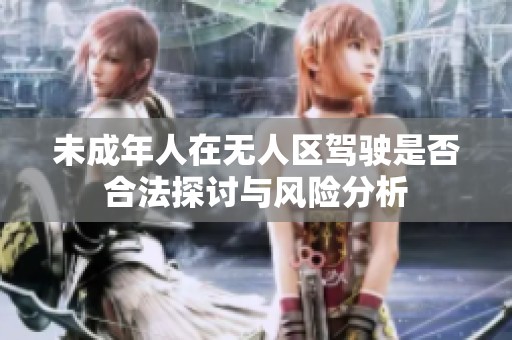 未成年人在无人区驾驶是否合法探讨与风险分析