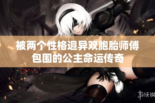 被两个性格迥异双胞胎师傅包围的公主命运传奇