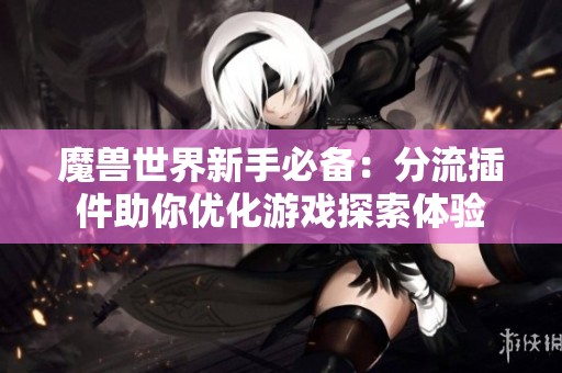 魔兽世界新手必备：分流插件助你优化游戏探索体验