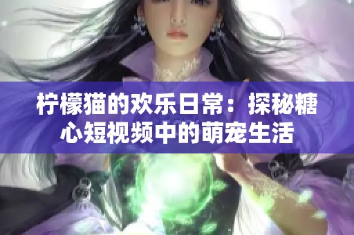柠檬猫的欢乐日常：探秘糖心短视频中的萌宠生活