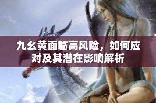 九幺黄面临高风险，如何应对及其潜在影响解析