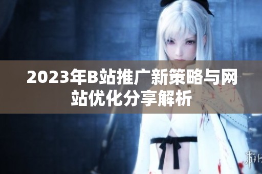 2023年B站推广新策略与网站优化分享解析