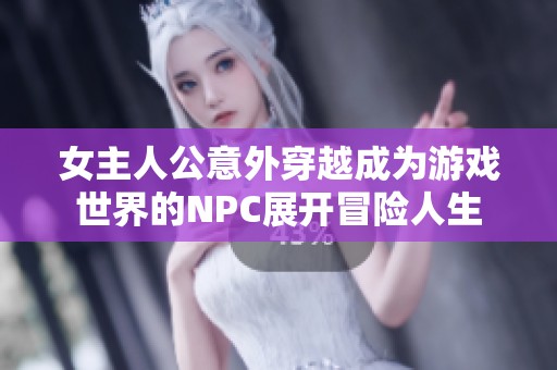 女主人公意外穿越成为游戏世界的NPC展开冒险人生