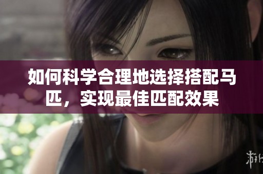 如何科学合理地选择搭配马匹，实现最佳匹配效果