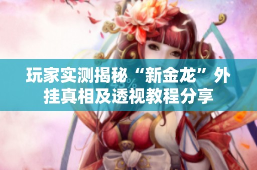 玩家实测揭秘“新金龙”外挂真相及透视教程分享