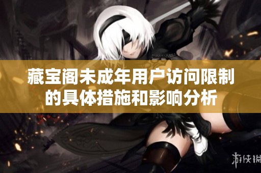 藏宝阁未成年用户访问限制的具体措施和影响分析