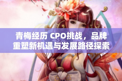青梅经历 CPO挑战，品牌重塑新机遇与发展路径探索