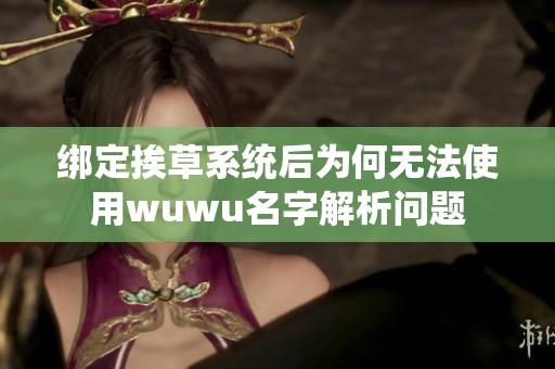绑定挨草系统后为何无法使用wuwu名字解析问题