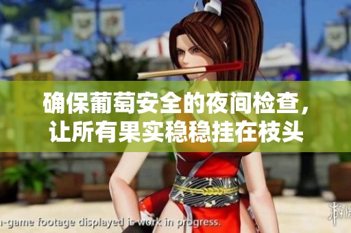 确保葡萄安全的夜间检查，让所有果实稳稳挂在枝头
