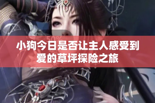 小狗今日是否让主人感受到爱的草坪探险之旅