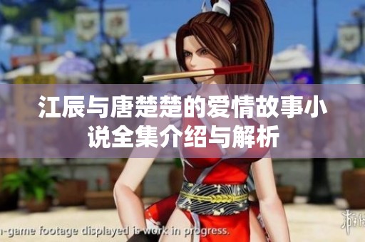 江辰与唐楚楚的爱情故事小说全集介绍与解析